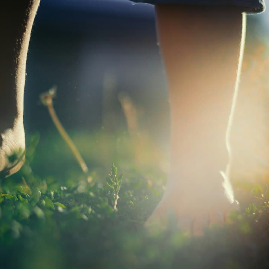 Bare feet walking on grass in low sunlight